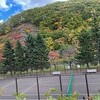 紅葉、雨、学会準備