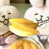 チェンマイのPM2.5の大気汚染の終わりと共に姿を消す”マヨンチット”をサマーシーズンの終わりに期間限定の”パンナコッタ”で楽しむ