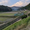 イノシシ・雑草の性質