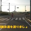 お散歩
