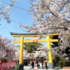 平野神社　～平安時代から続く桜の博物館