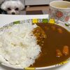 こくまろカレー