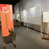 えと展ー巳を考古学するー  那珂川町なす風土記の丘資料館