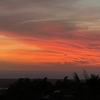 第一金曜日のホルアロア First Friday Art Events in Holualoa 