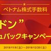 SBI証券でベトナム株を買ってみようかと考えを巡らせてみる。