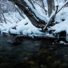 冬の十和田湖の魅力　飛沫氷（しぶき氷）