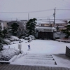 やっぱり雪になった