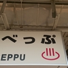 別府で食べられる美味しい大分名物の鶏天！お店によって形が違う？