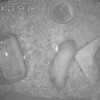 みるくあん346日目