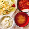 グリンピースごはんとハンバーグトマト煮込み＋ガイスターレビュー☆