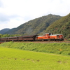 長門峡でＤｌやまぐち号を撮る