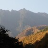 山梨百名山　〜鶏冠山(2115m)　甲武信岳(2475m)〜