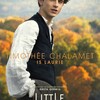 映画 Little Women (2019) を見た。グレタ・ガーウィグの『ストーリー・オブ・マイライフ わたしの若草物語』