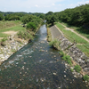 清瀬金山緑地公園～東福寺　東京都清瀬市中里・埼玉県所沢市本郷