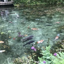 たびなび　さうさう