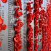 4/25はANZAC DAY ～アンザック・デーとは？日本人として知っておくこと～