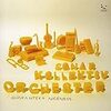 Sonar Kollektiv Orchester / Guaranteed Niceness