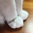 らーめんてーぶる