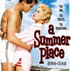 映画一言二言／避暑地の出来事＿A Summer Place