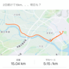 11/10　15Kmラン