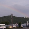 やっと梅雨が明けました🎶