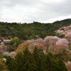 歴代天皇陵　遥かなる京都２