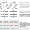 メタゲノムシーケンシングデータからMLST タイピングを行う MetaMLST