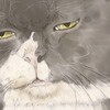 【ねこ筆】猫：もんたちゃん【イラスト】