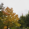 芝公園