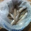 とりあえずキス釣りに
