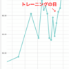 筋トレでは痩せないのか？　リアルワークアウト6回目