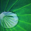 lotus_herbslife’s blog