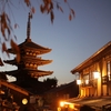 京にても京なつかしやほとゝぎす