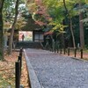 京都紅葉だより