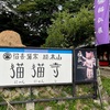 猫猫寺に置かせてもらってます