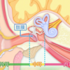 外耳炎になったら病院に行って気持ちを奮い立たせましょうという話