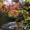 玉川峡から高野山へ紅葉狩りライド