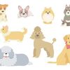 口コミで広まる犬のサプリメントの成分チェック！どれくらい信用できる品質なのか