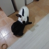 ついにお迎えした&日常的な私の哲学？