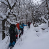 新春は北山天狗杉でスノーシュー