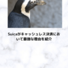 Suicaがキャッシュレス決済において最強な理由を紹介