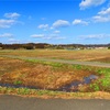 花粉嵐の春日和