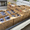 発送もやっております