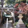 【奥澤神社】2018年4月1日来訪