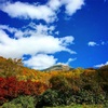 青森県 八甲田山 衝撃の紅葉