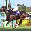初めての体験で戸惑うことが多かった中、環境に馴染んでいくことでこれまでと変わらない雰囲気へ。スプリンターとしての資質はここでも見劣らないも、古馬と同斤量での出走は１つ試練に。まだまだ力を付けていっている段階なので、まずは内容のある走りを見せて欲しい。そこに良い結果が伴ってきてくれれば…。☆ピクシーナイト