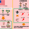 fontanで運動能力が良い人の特徴