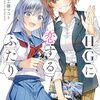工藤マコト『HGに恋するふたり』8巻