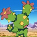 torinopiccataのブログ