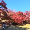VTR-F250で、修善寺自然公園、だるま山高原展望台、やまやツーリング